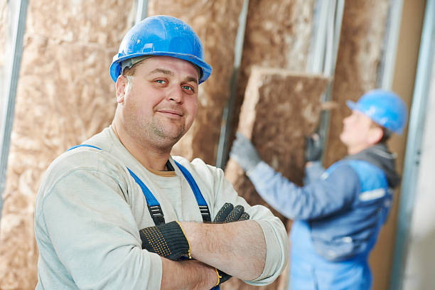 Best Insulation Installation Services in Lenoir City, TN